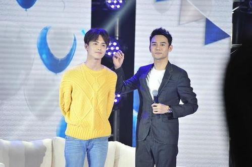 娱乐圈吃瓜合集几百页了,数百页吃瓜合集深度解析