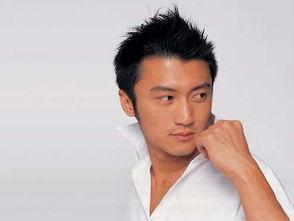 娱乐圈十大名人,星光熠熠的璀璨人生